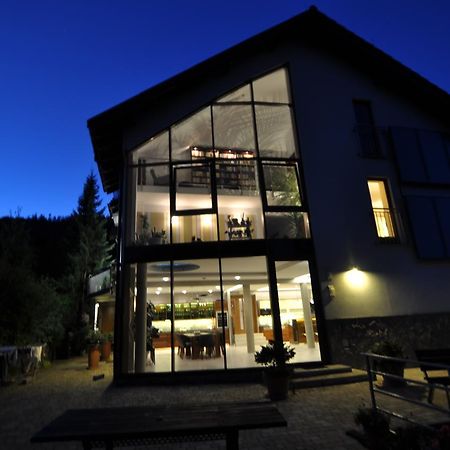Bed and Breakfast Jasminowe Ogrody Щирк Екстер'єр фото